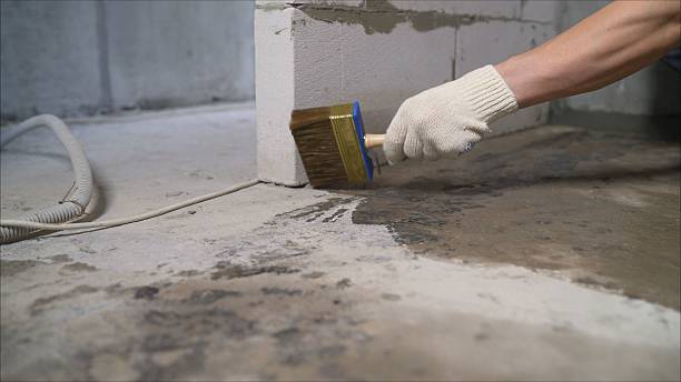 24/7 Emergency Crawl Space Encapsulation experts in Alden, NY